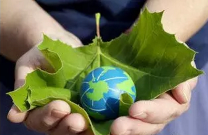 能源局:適時(shí)啟動(dòng)綠證強(qiáng)制約束交易,提振光伏、風(fēng)電的發(fā)展