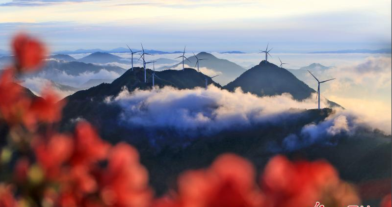 綠色風(fēng)電助力節(jié)能減排