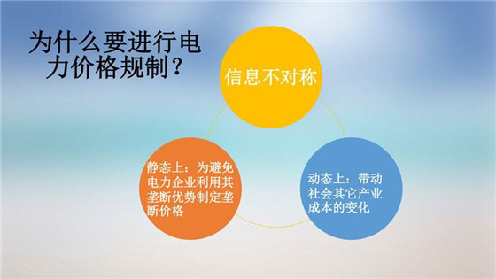 我國(guó)電力價(jià)格規(guī)制現(xiàn)狀、存在的問(wèn)題及原因分析