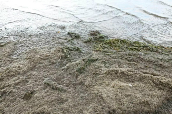 治理思路不清晰 內蒙古岱海生態(tài)持續(xù)退化